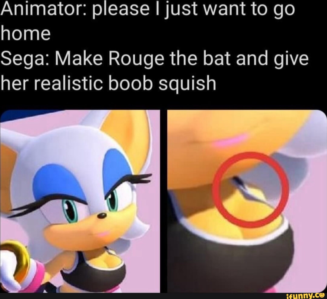 Animator: please I just want to go home Sega: Make Rouge the bat and give  her realistic boob squish I ss WW) - iFunny