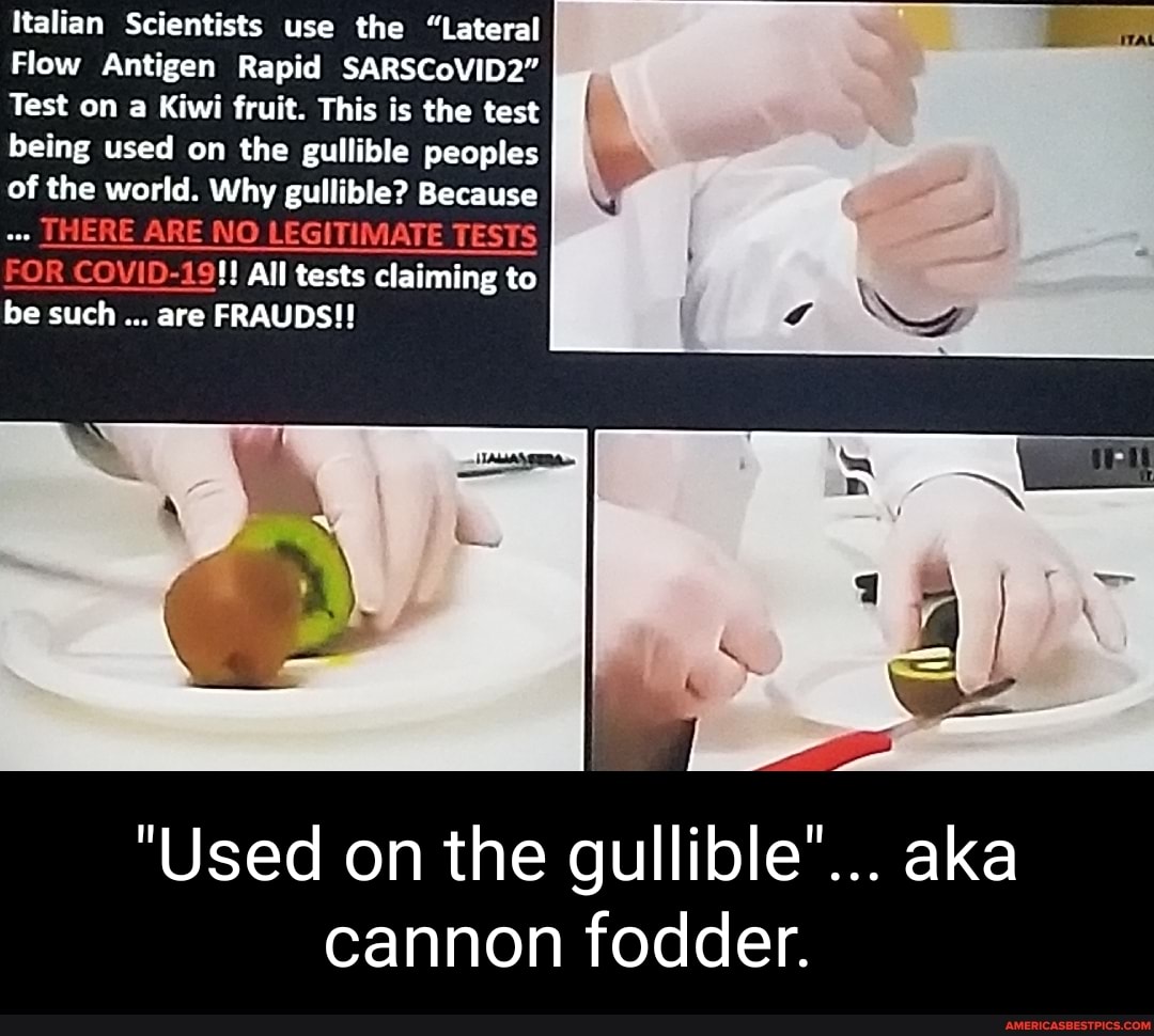 Italian Scientists use the "Lateral
Flow Antigen Rapid SARSCoVID2"
Test on a Kiwi fruit. This is the test being used on the gullible peoples of the world. Why gullible? Because
THERE ARE NO LEGITIMATE TESTS FOR COVID-19!! All tests claiming to be such are FRAUDS!!
II
"Used on the gullible"... aka cannon fodder.