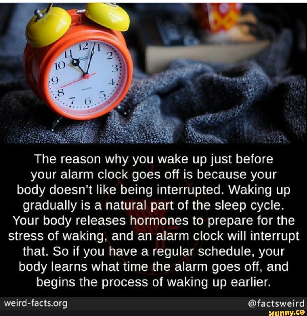 natural wake up time