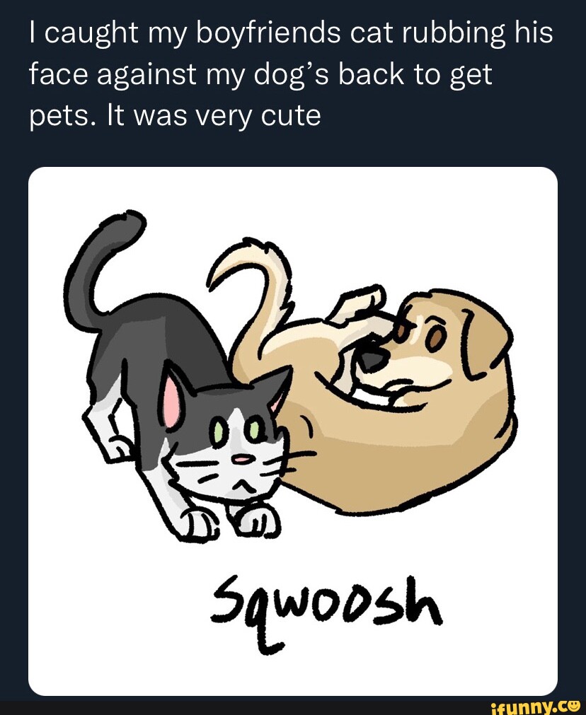 I caught my boyfriends cat rubbing his face against my dog's back to