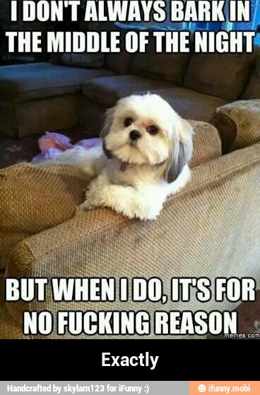 I DONT ALWAYS BARK IN/
THE MIDDLE OF THE I NIGHT:
Exactly - Exactly