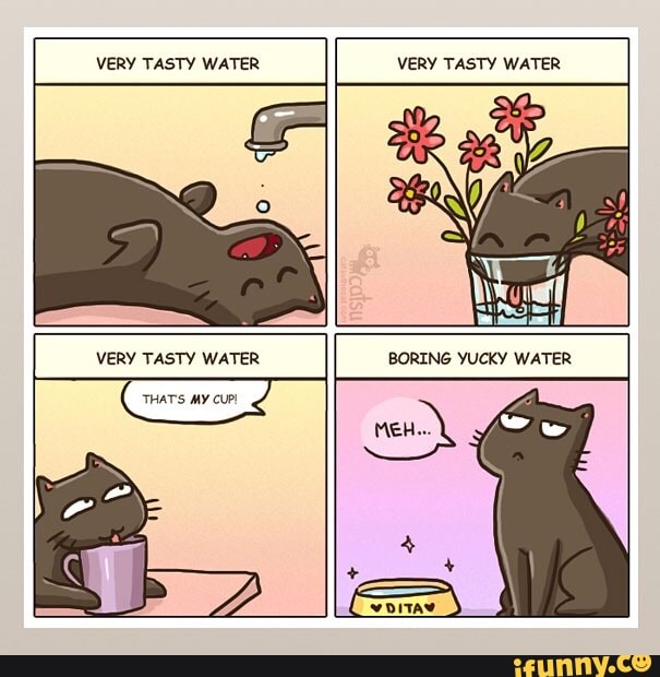VERY TASTY WATER VERY TASTY WATER
VERY TASTY WATER