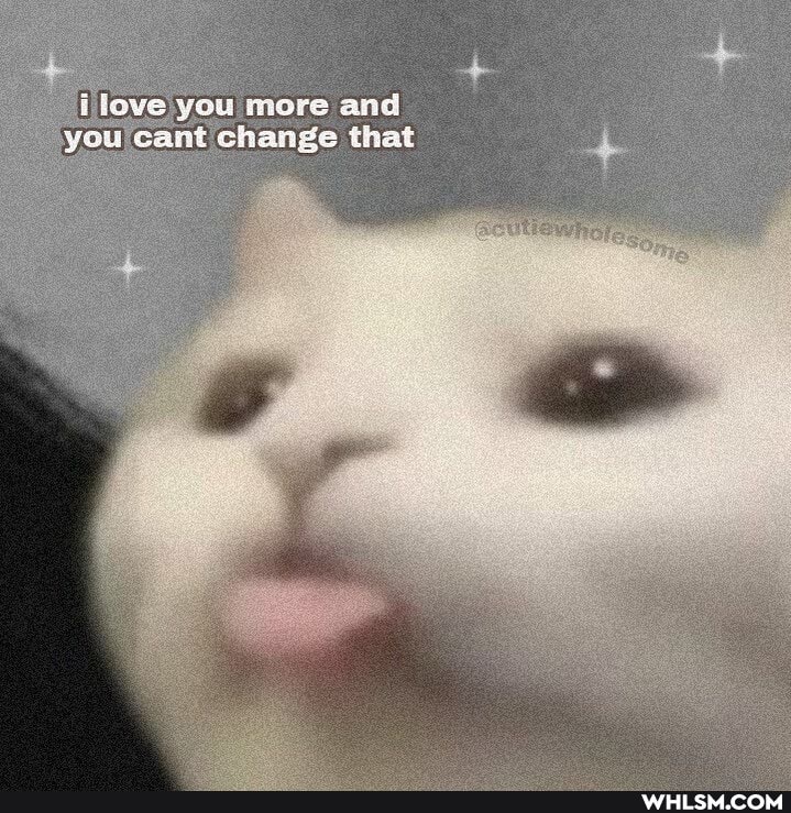 love you more and you cant change that