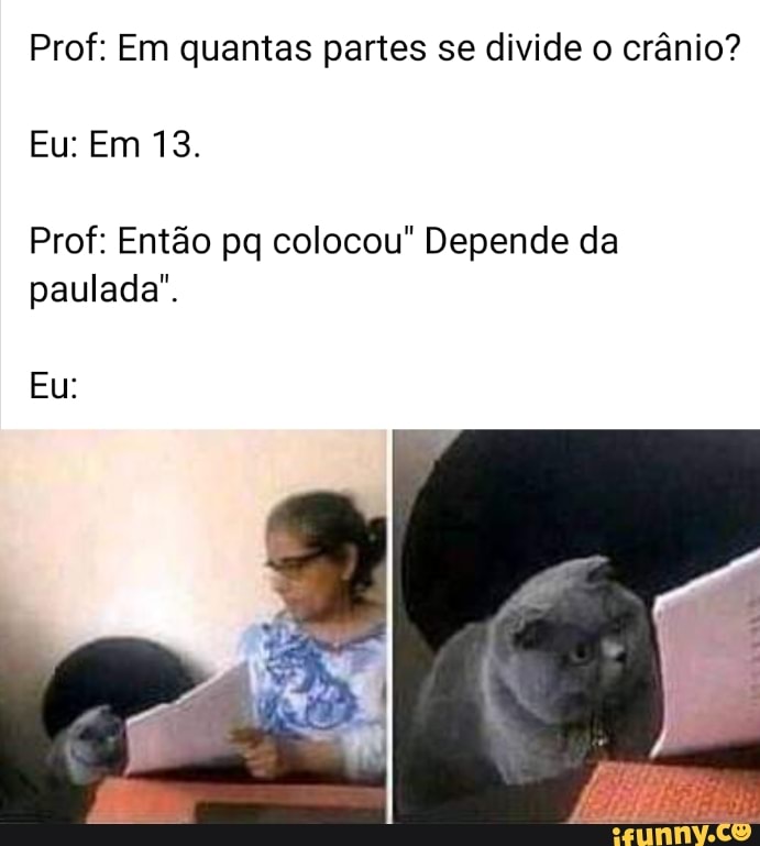 Prof: Em quantas partes se divide o crânio?
Eu: Em 13.
Prof: Então pq colocou" Depende da paulada".
Eu: