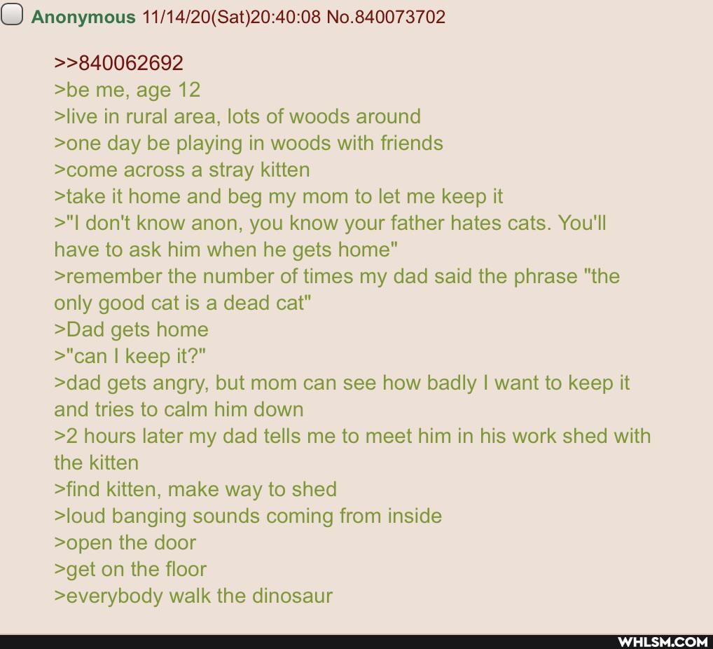 Anonymous No.840073702
>>840062692
>be me, age 12
>live in rural area, lots of woods around
>one day be playing in woods with friends
>come across a stray kitten
>take it home and beg my mom to let me keep it
>"I don't know anon, you know your father hates cats. You'll have to ask him when he gets home"
>remember the number of times my dad said the phrase "the only good cat is a dead cat"
>Dad gets home
>"can I keep it?"
>dad gets angry, but mom can see how badly I want to keep it and tries to calm him down
>2 hours later my dad tells me to meet him in his work shed with the kitten
>find kitten, make way to shed
>loud banging sounds coming from inside
>open the door
>get on the floor
>everybody walk the dinosaur