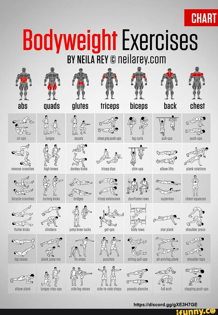 CHART Bodyweight Exercises BY NEILA REY abs quads glutes triceps ...