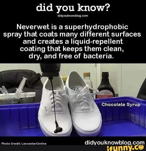 Did you know logo. Did you know надпись. Facts about the world. Did you know this is. Did you know facts.