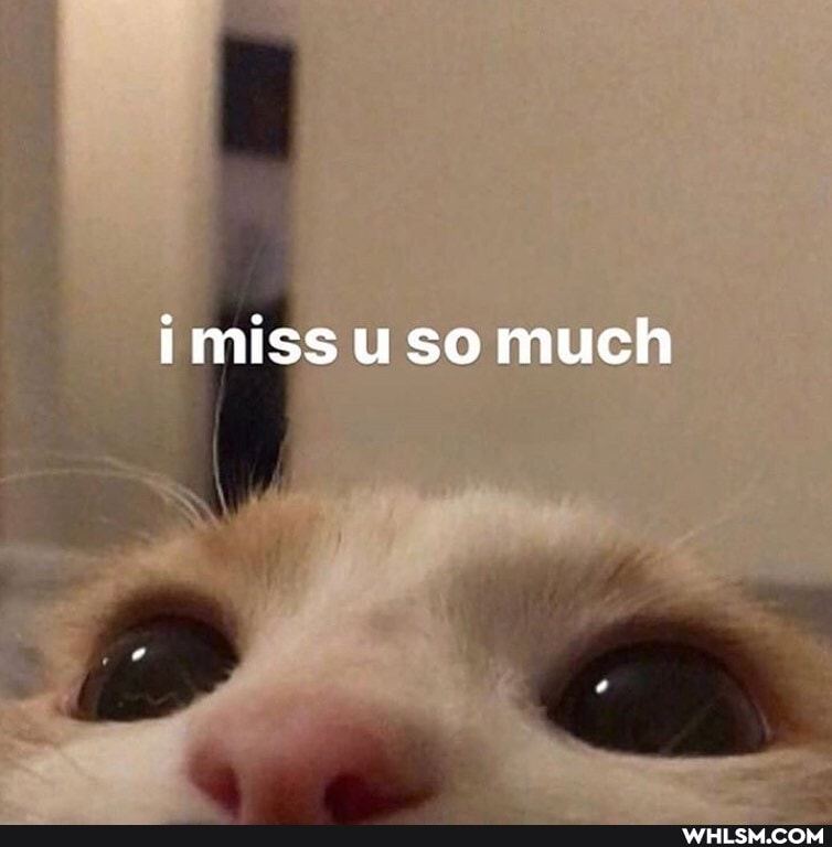 imiss uso much