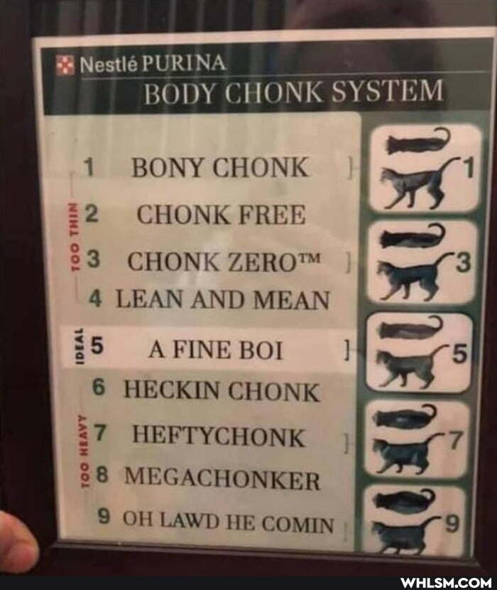 Nestle PURINA BODY CHONK SYSTEM
1 BONY CHONK
2 CHONK FREE
3 CHONK
4 LEAN AND MEAN
$5 A FINE BO!
6 HECKIN CHONK HEFTYCHONK
88 MEGACHONKER
8 OH LAWD HE COMIN