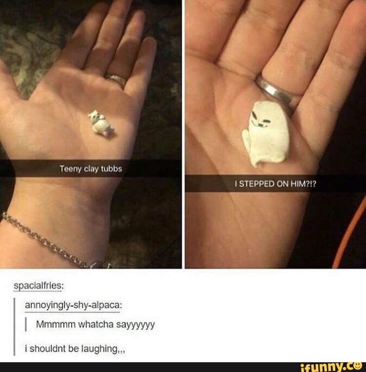 spacialfries:
annoyingly-shy-alpaca:
i shouldnt be laughing,,,