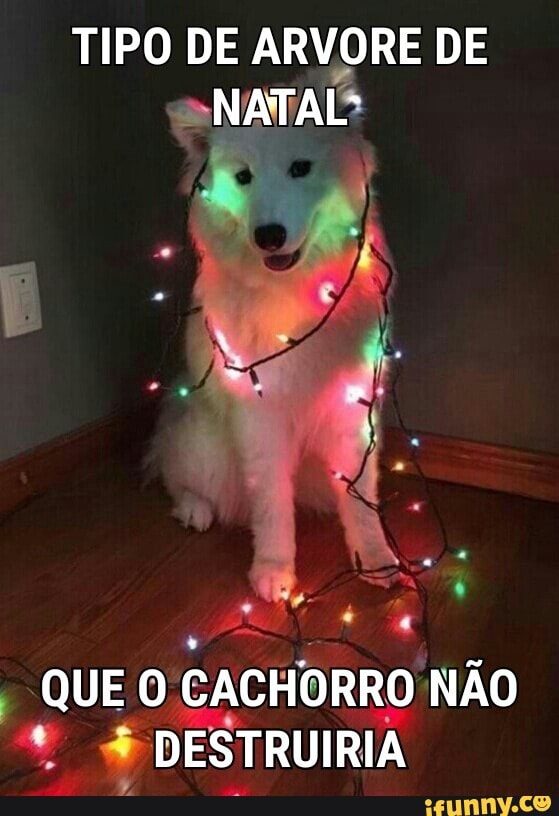 TIPO DE ARVORE DE
NATAL
QUE O
CACHORRO NÃO
a 4 DESTRUIRIA