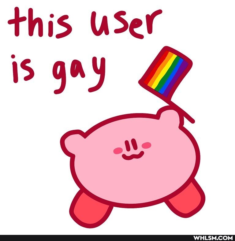 this USer is gay
