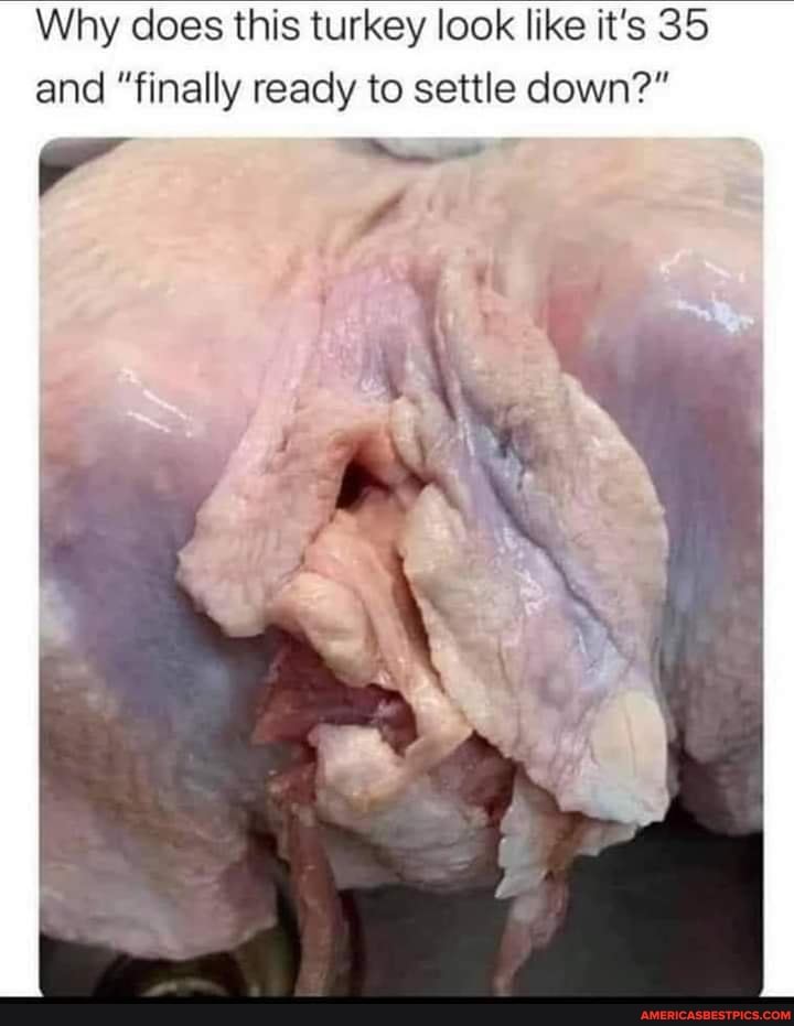 Why does this turkey look like it's 35 and "finally ready to settle down?"