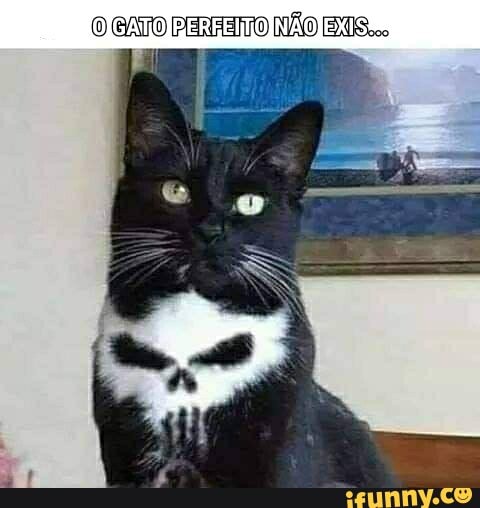 OCATO CERRETO NÃO EIS.