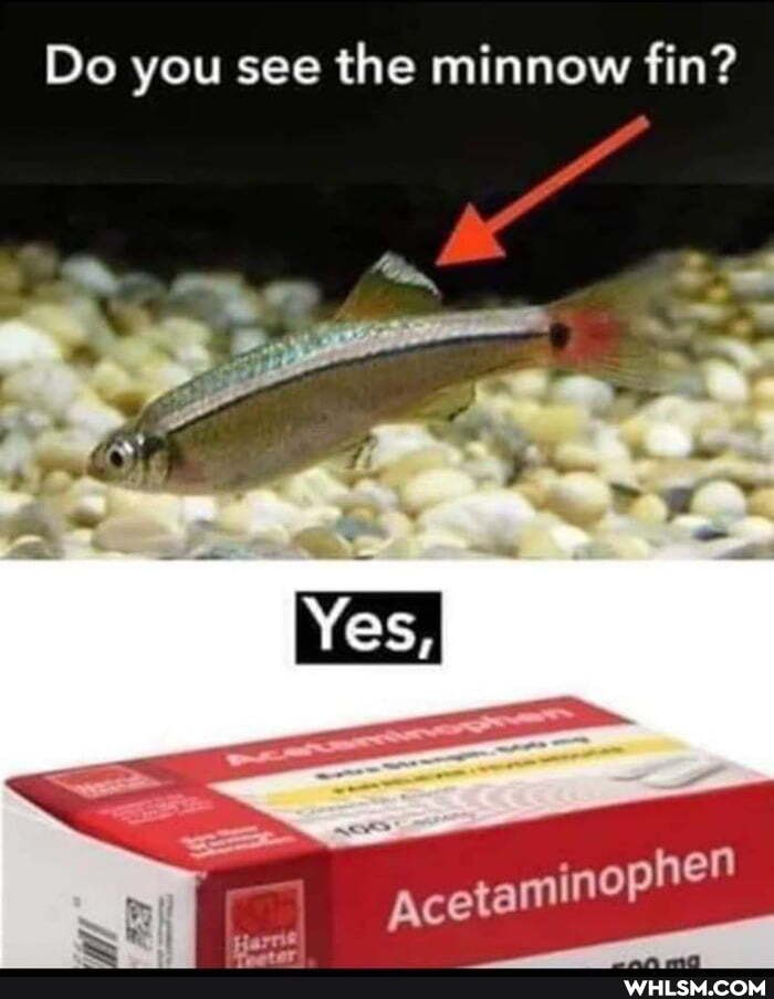 Do you see the minnow fin?
nen