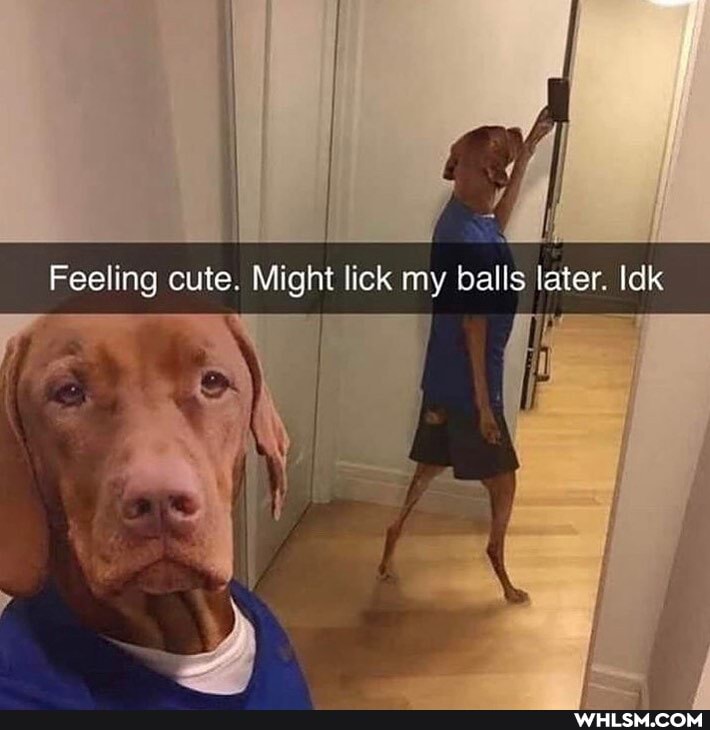 Feeling cute. Might lick my balls later. Idk