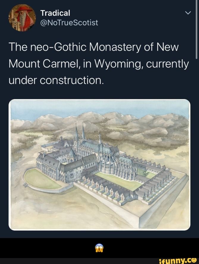 The neo-Gothic Monastery of New
Mount Carmel, in Wyoming, currently
under construction. - π±