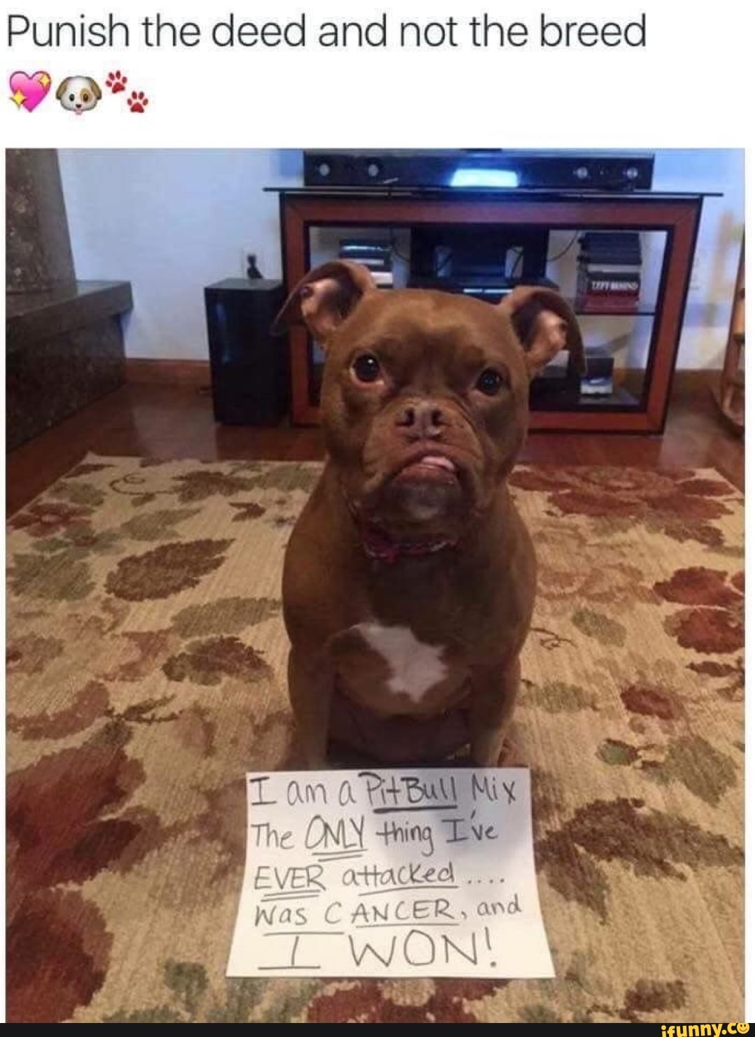 Punish the deed and not the breed
Yo*:
Miy
The ONN thing "thing Lve
EVER "act
Was CANCER, and
WON!