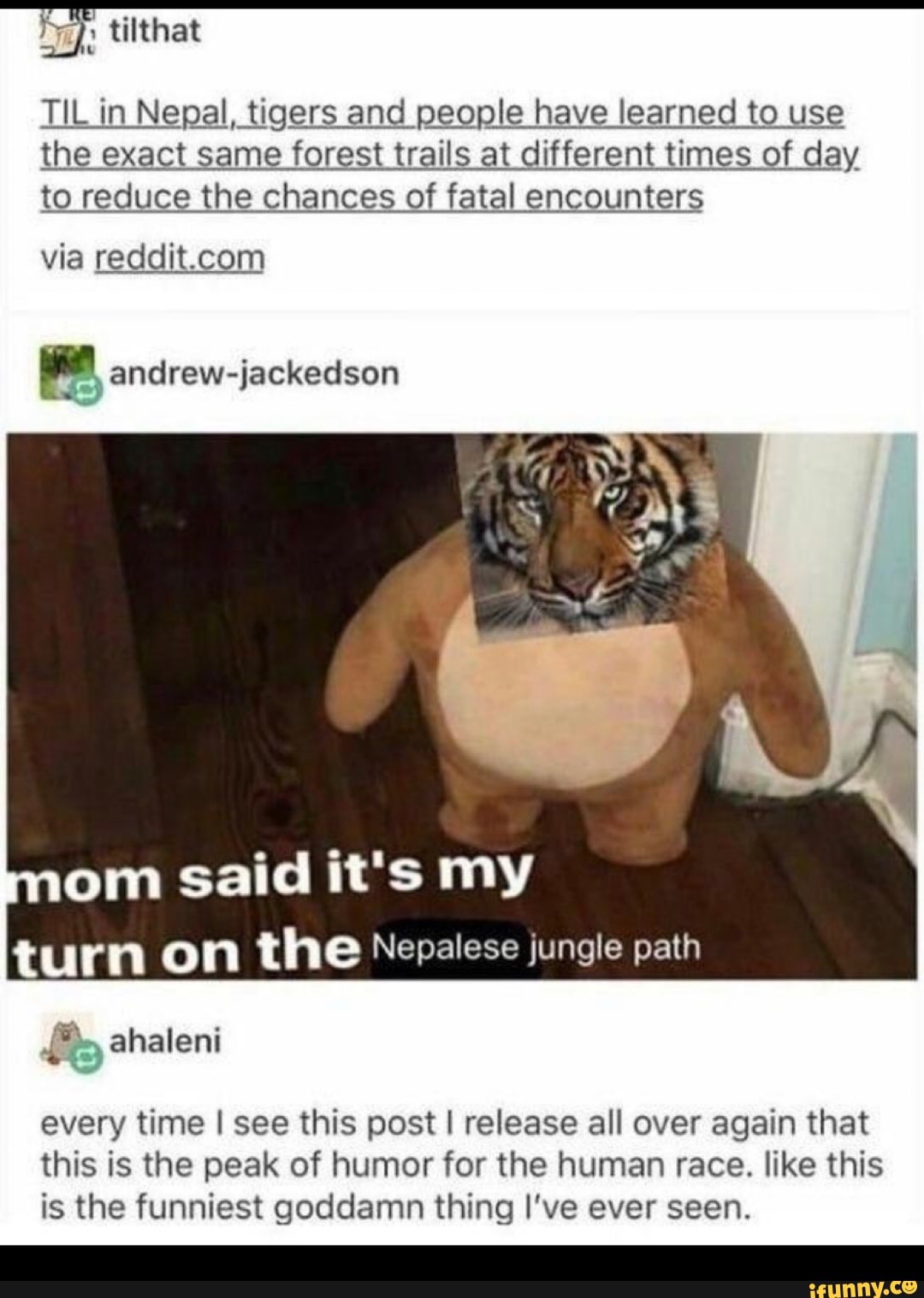 Fry:
TIL in Nepal, tigers and people have learned to use_
the exact same forest trails at different times of day_
to reduce the chances of fatal encounters
via reddit.com
E; andrew-jackedson
1‘ ahaleni
every time I see this post I release all over again that
this is the peak of humor for the human race. like this
is the funniest goddamn thing I've ever seen.