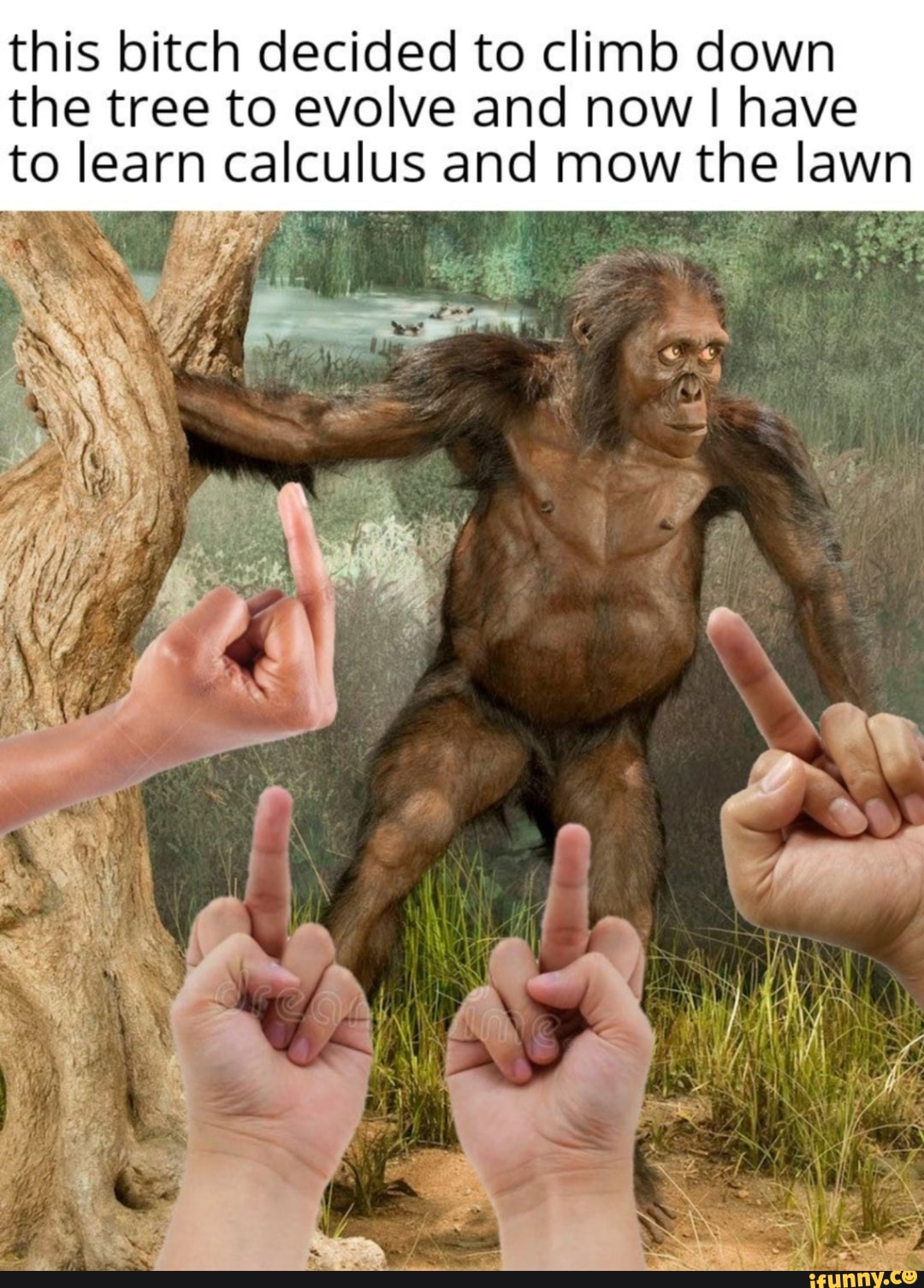 this bitch decided to climb down the tree to evolve and now I have to learn calculu
and mow the lawn