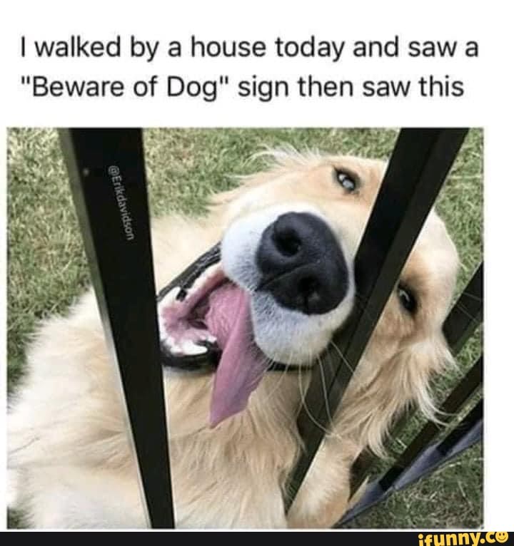 I walked by house today and saw a
"Beware of Dog" sign then saw this