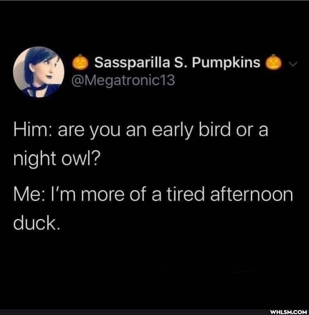 C) Sassparilla S. Pumpkins
Him: are you an early bird or a night owl'?
Me: I'm more of tired afternoon duck.