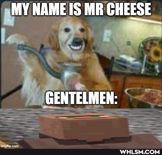 MY NAME IS MR CHEESE
lew
GENTELMEN: