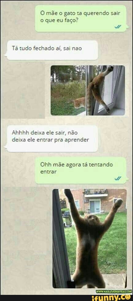 O mãe o gato ta querendo sair
o que eu faço?
Tá tudo fechado aí, sai nao
Ahhhh deixa ele sair, não
deixa ele entrar pra aprender
Ohh mãe agora tá tentando
entrar
Rá