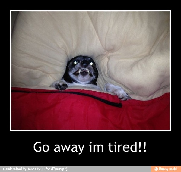Go away im tired!! - Go away im tired!!