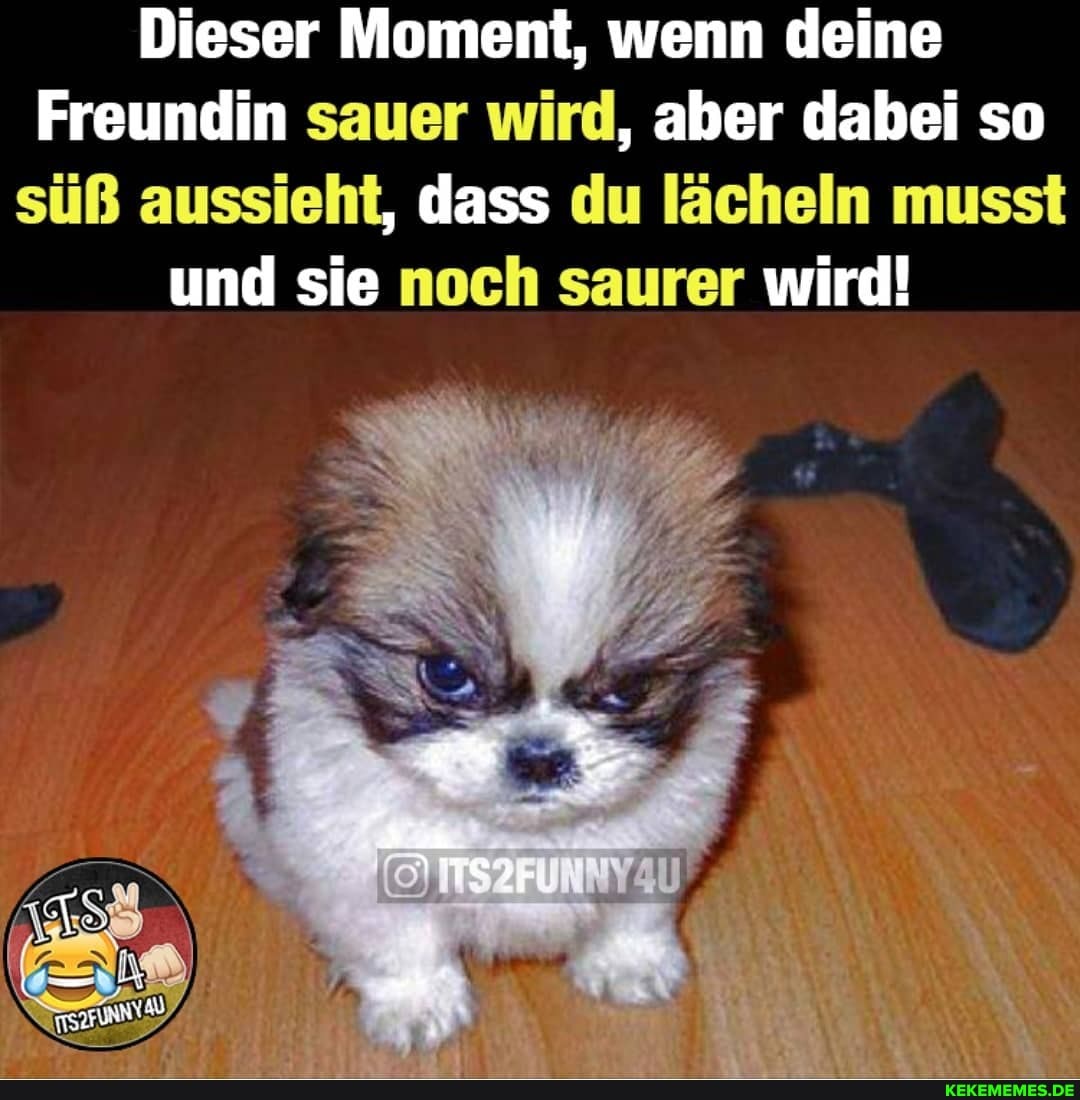 Dieser Moment, wenn deine
Freundin sauer wird, aber dabei so süß aussieht, dass du lächeln musst und sie noch saurer wird!