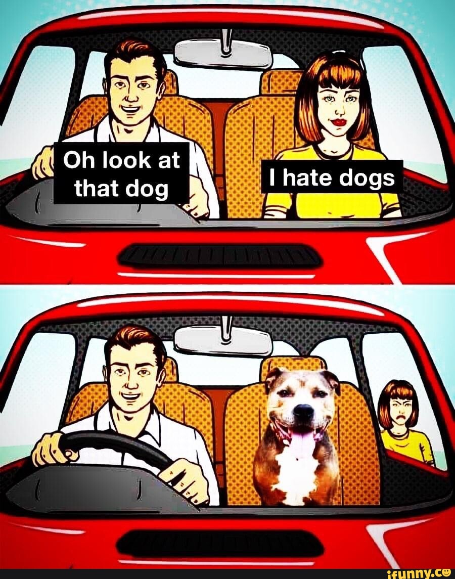 Oh look at that dog - iFunny