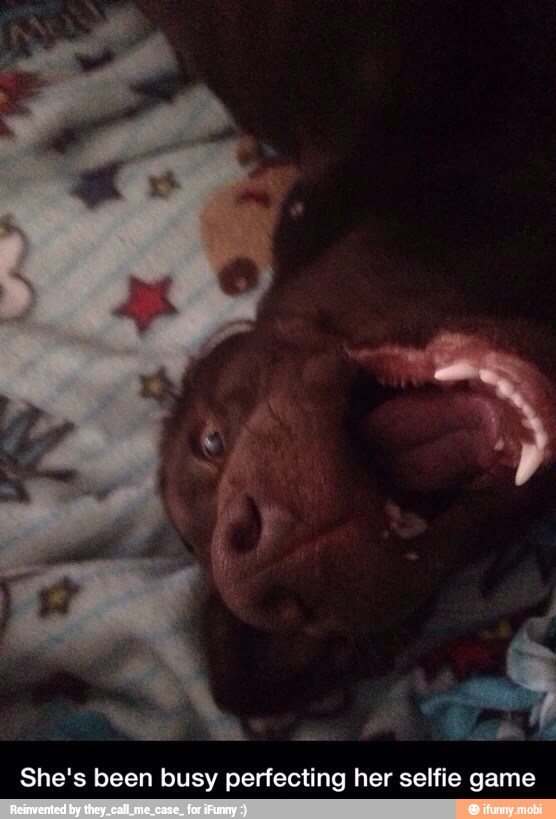 She's been busy perfecting her selfie game