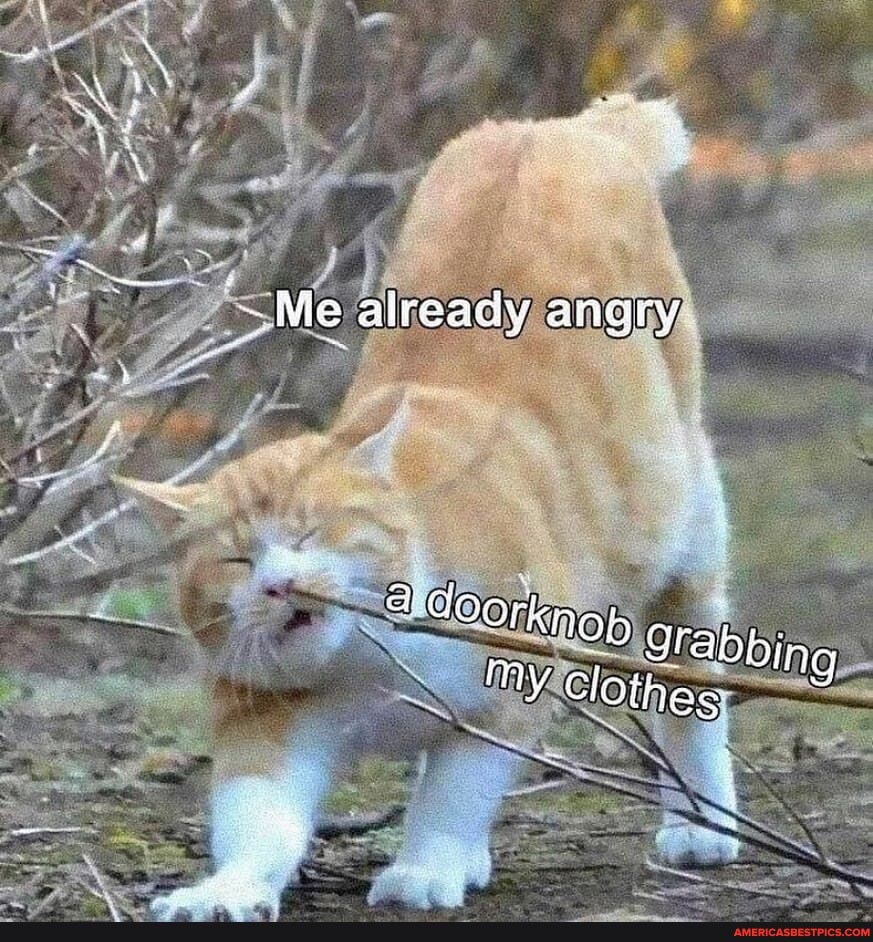 Me aiready anary
ag
GOo: 'knob Stabbing my "lothes