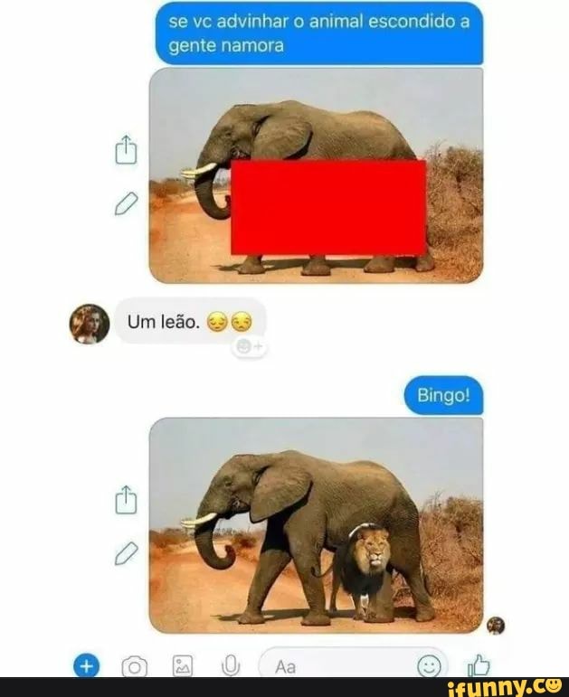 se vc advinhar o animal escondido a gente namora
ngo!
Rg