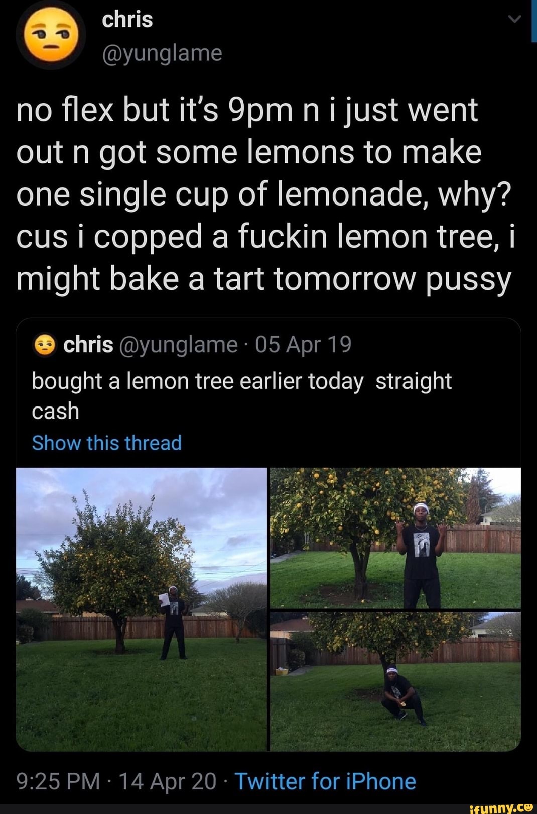 no flex but it's 9pm ni just went
out n got some lemons to make
one single cup of lemonade, why?
cus i copped a fuckin lemon tree, i
might bake a tart tomorrow pussy
O chris @yunglame 05 Apr 19
bought a lemon tree earlier today straight
cash
Twitter for iPhone