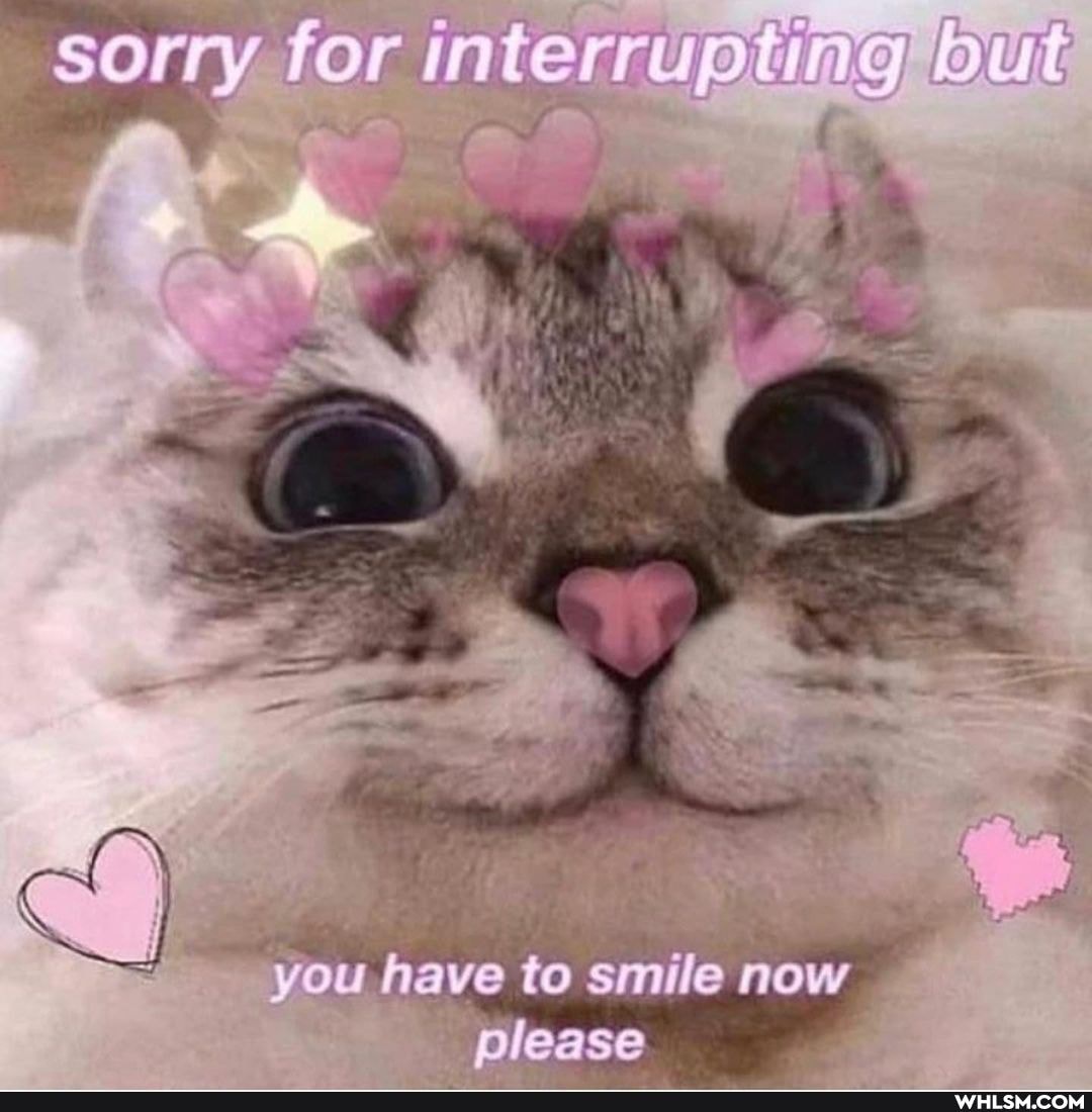 but
to smile now