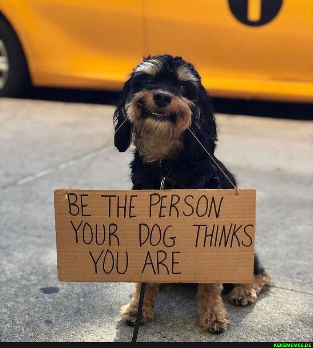 BE THE PERSON YOUR YOUR DOG THINKS ARE