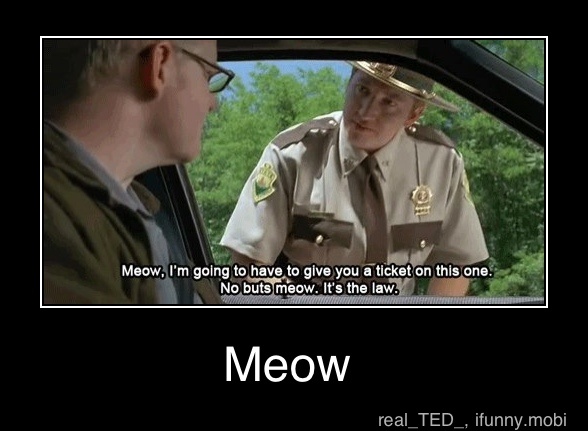 Meow, I'm going to have to give you a - Meow.