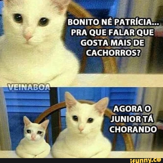 BONITO NE PATRICIA'...
PRA QUE FALAR QUE:
GOSTA MAIS/DE
CACHORROS?
JUNIOR TAY
CHORANDO