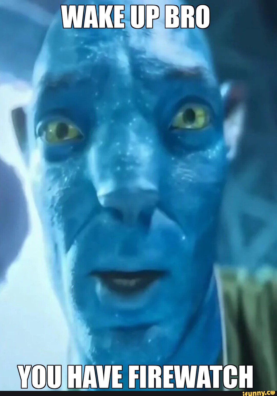 Avatar 2 meme  Avatar Film  Know Your Meme