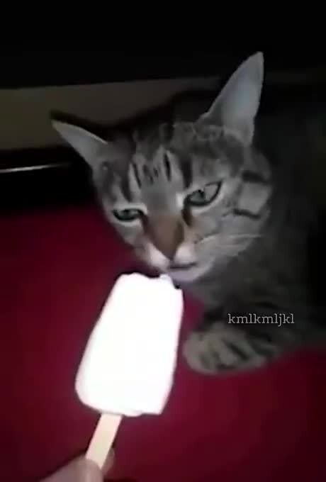 Brainfreeze Memes Best Collection Of Funny Brainfreeze Pictures On Ifunny