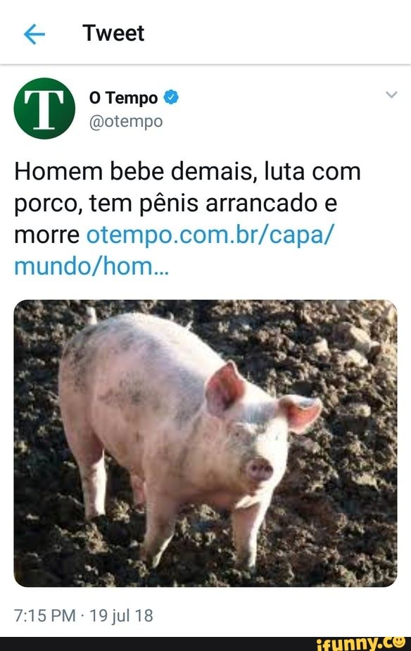 Tweet
Homem bebe demais, luta com porco, tem pênis arrancado e morre
EN
PM 19jul 18