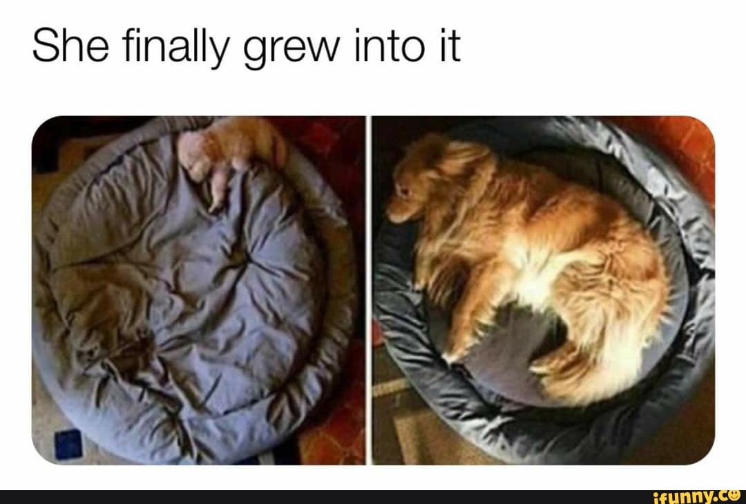 She finally grew into it
& \
ye