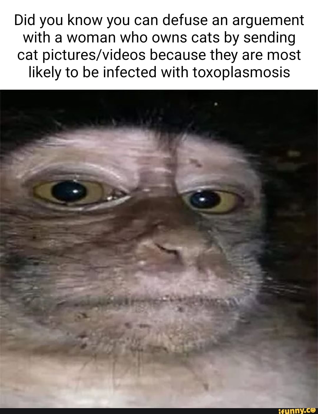 Did you know you can defuse an arguement with a woman who owns cats by