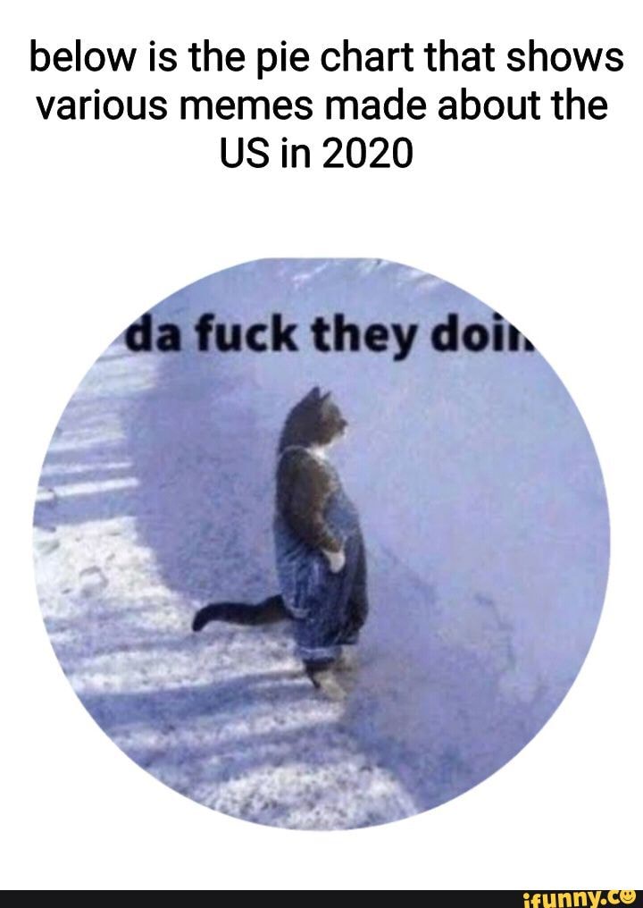 below is the pie chart that shows
various memes made about the
US in 2020