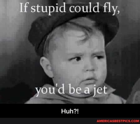 stupid could fly,
be a jet - Huh?!