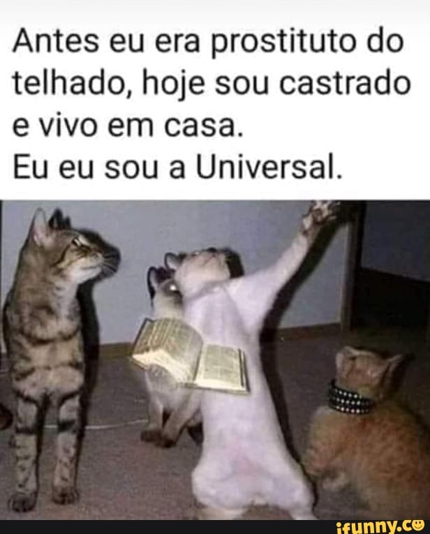 Antes eu era prostituto do
telhado, hoje sou castrado
e vivo em casa.
Eu eu sou a Universal.
