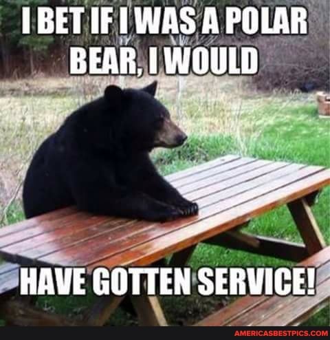 BET IF WAS A POLAR BEAR, I WOULD
HAVE GOTTEN SERVICE!