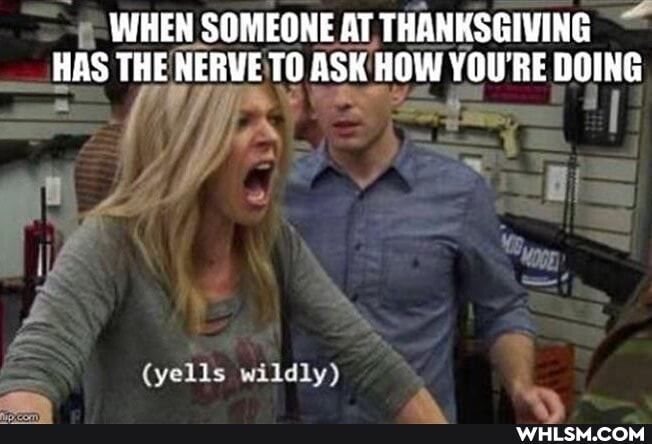 WHEN SOMEONE AT THANKSGIVING HAS THE NERVE: TO ASK HOW YOU'RE RE DOING
if
(yells wildly)