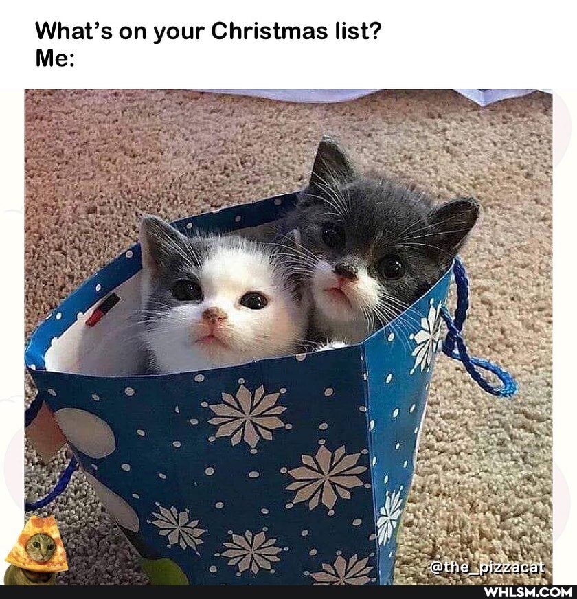 What's on your Christmas list?
Me: